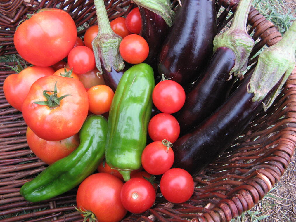 Légumes