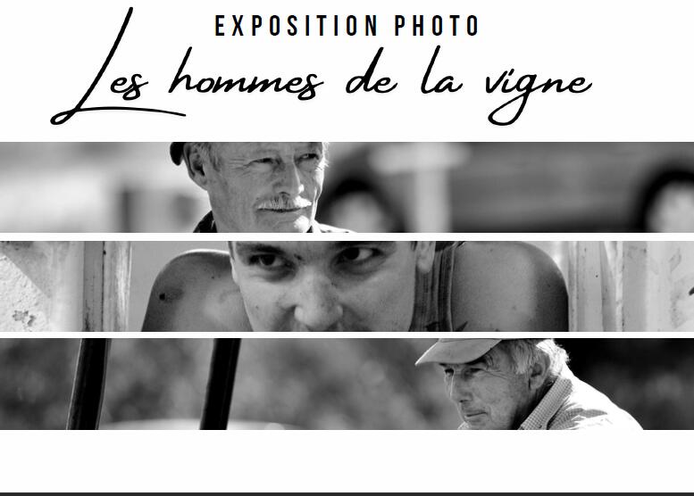 Les-hommes-de-la-vigne