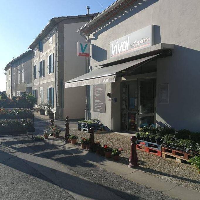 Vival siran