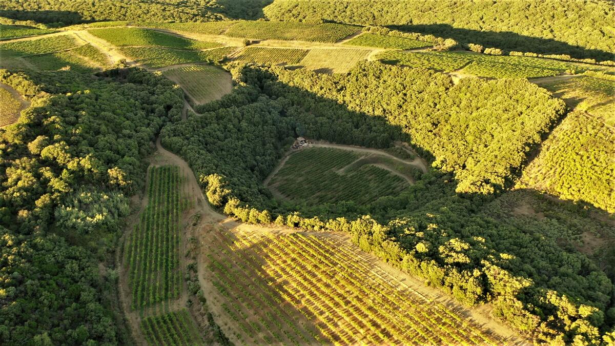 Domaine du Météore