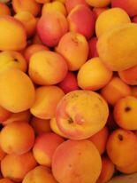 LES FRUITS D'ANNABELLE