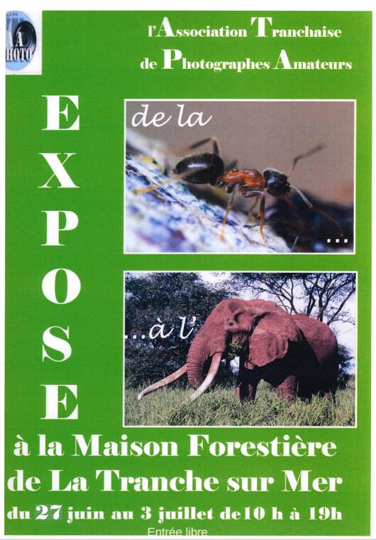 expo