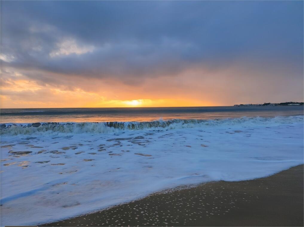 plage-clemenceau