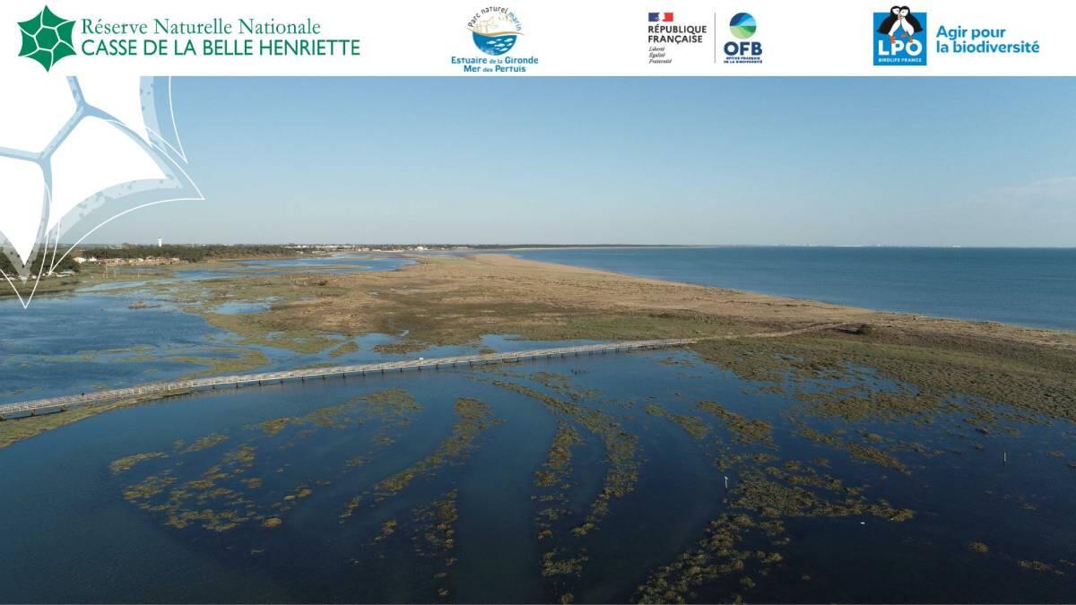 Visite découverte de la réserve naturelle de la Belle Henriette - La ...