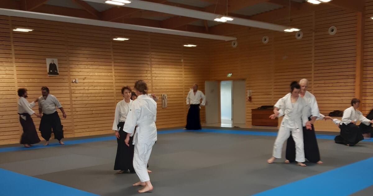 12-10-1-AIKIDO (2)