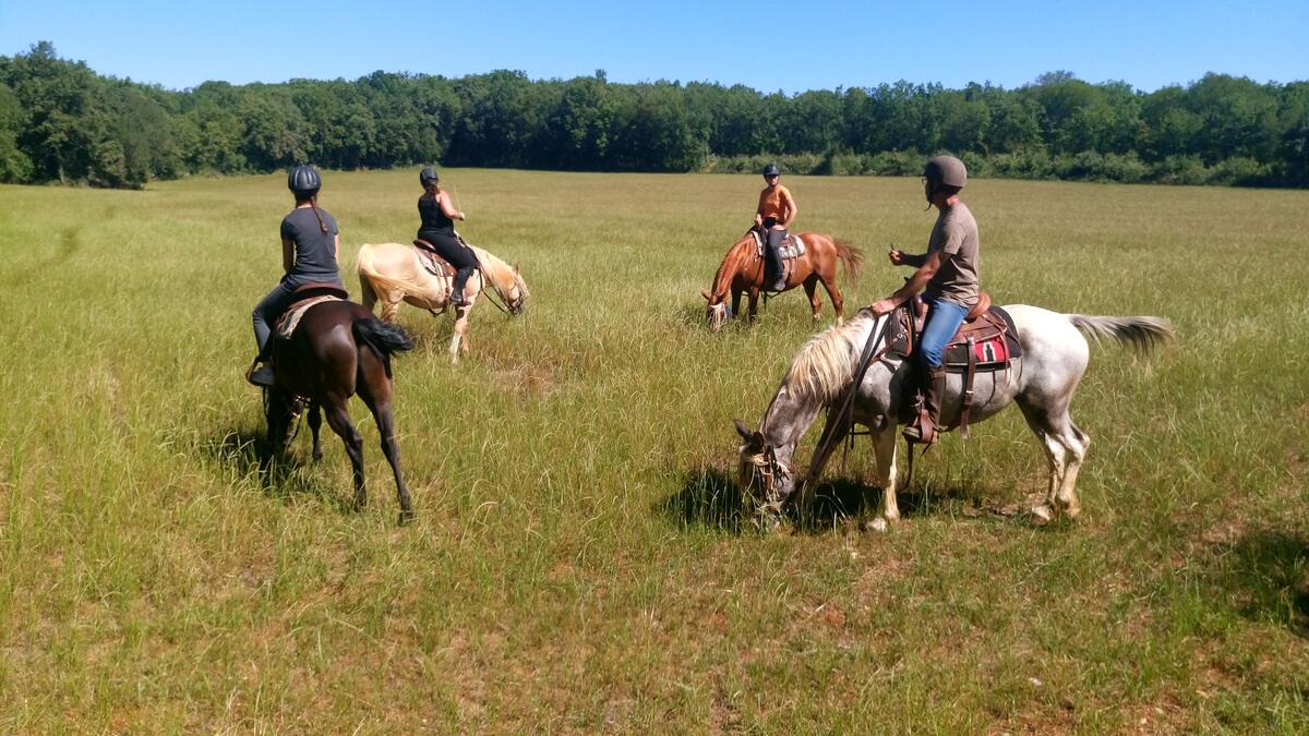 Centre équestre Le Ranch des Centaurées - ALBAS