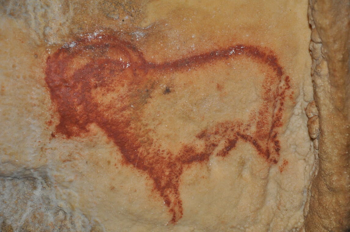 Visite commentée des grottes préhistoriques de Cougnac