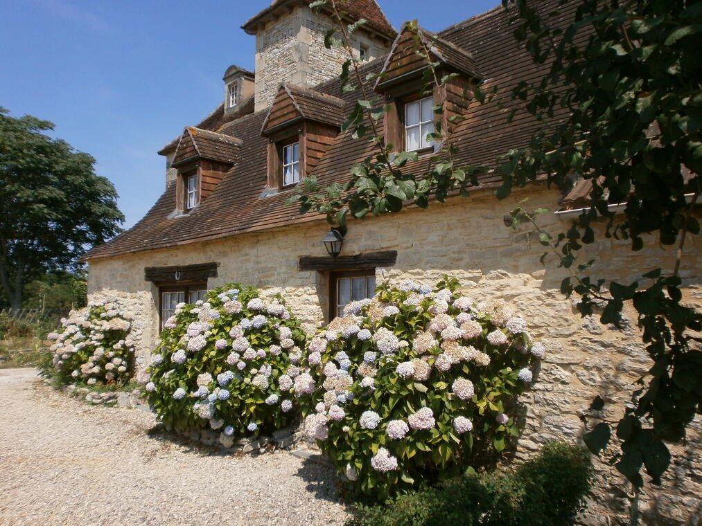 photos du charmant cottage aux hortensias