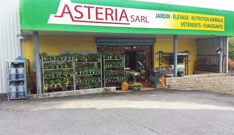 Asteria