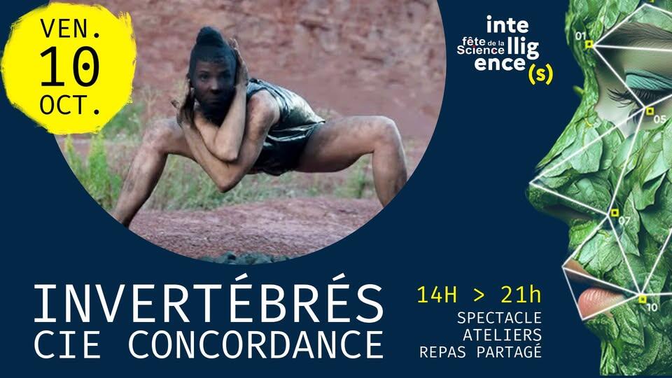 invertebres