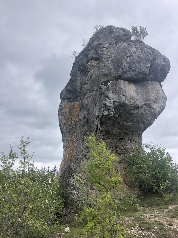 Lion de Balsièges_1