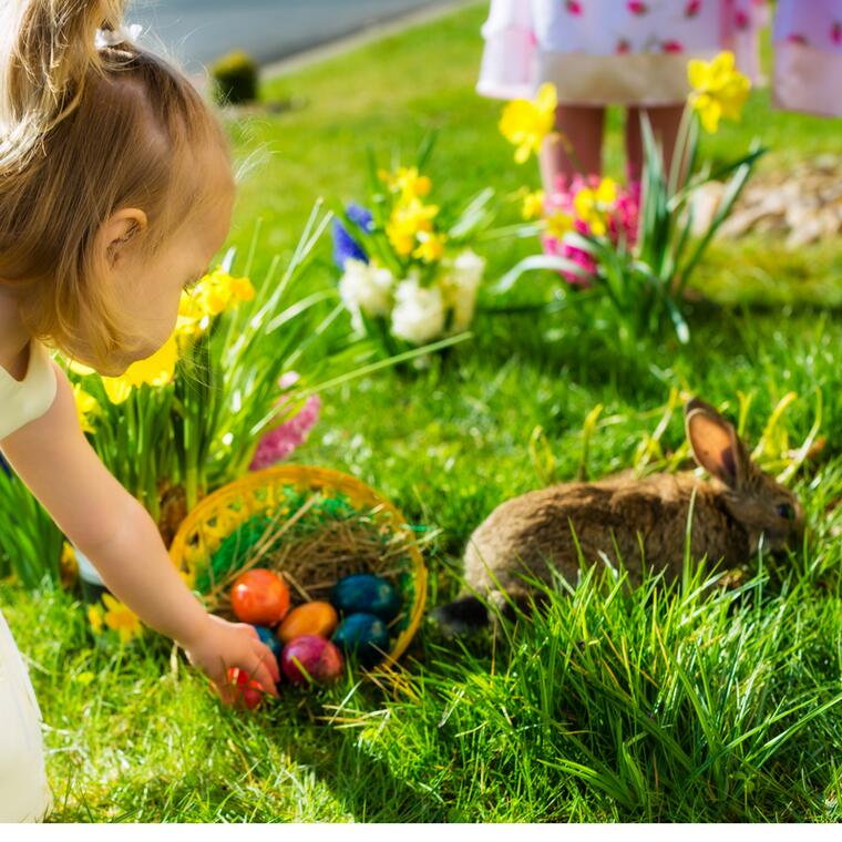 Chasse aux oeufs de Pâques