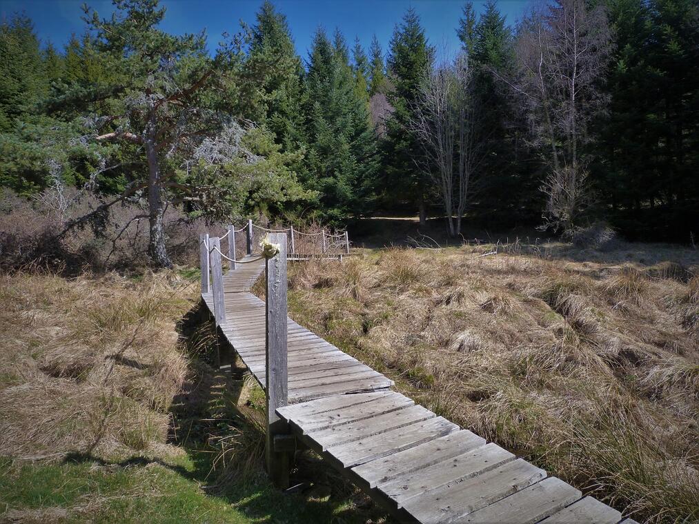 Sentier des sources du Lot