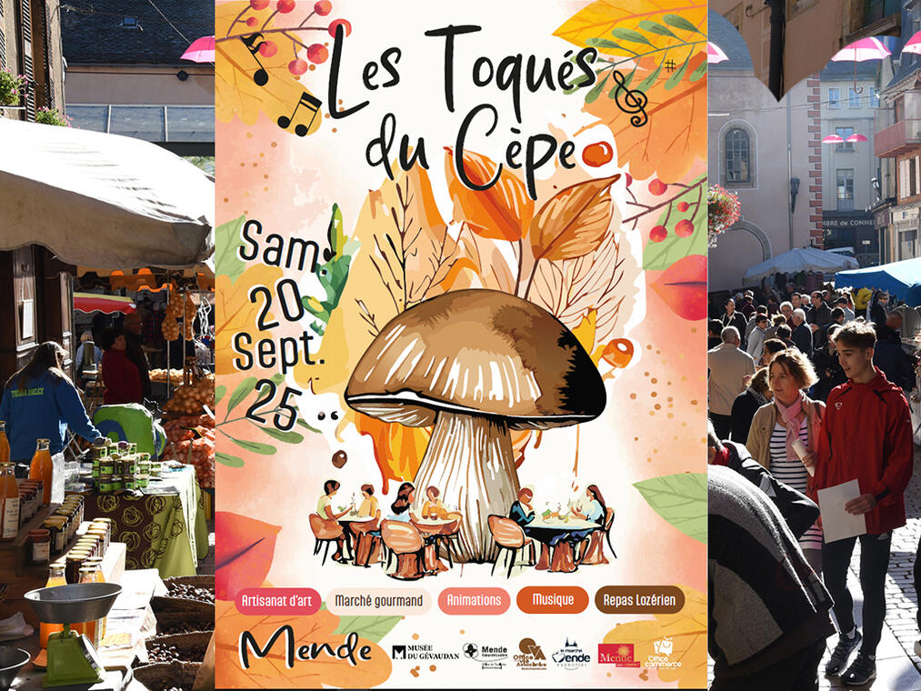 toques-cepe-2025