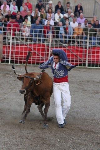 Augreilh course Landaise