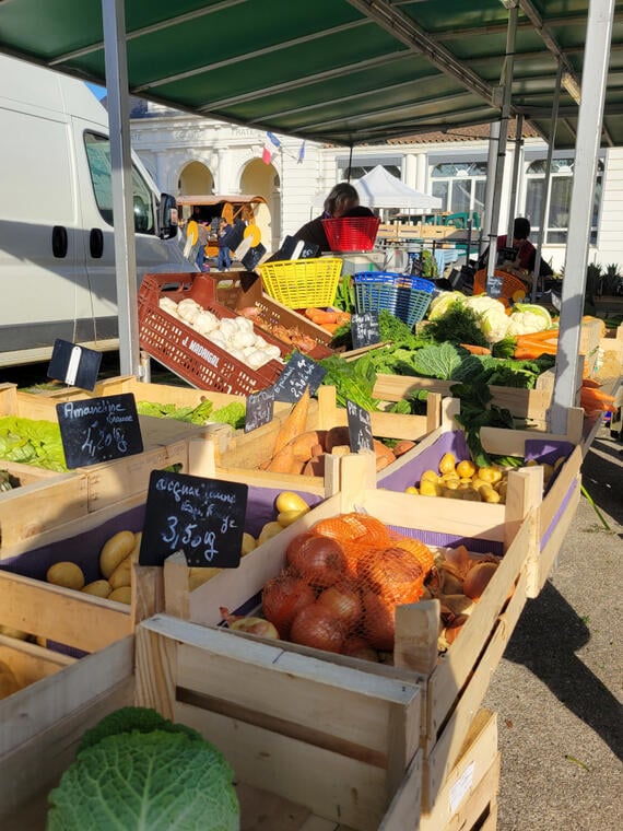 CLNT-SAINT JULIEN EN BORN-Marché traditionnel (12)TS