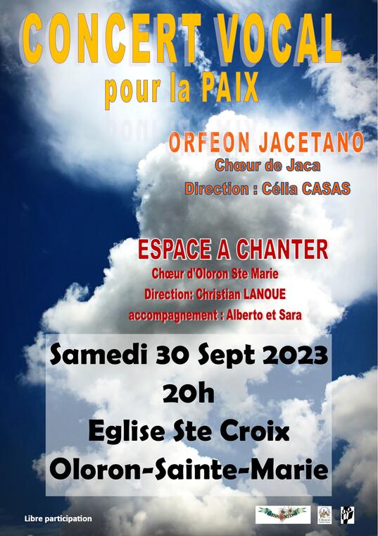 Concert pour la paix
