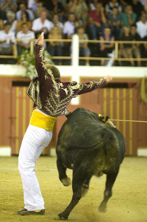 Course Landaise - Ecart