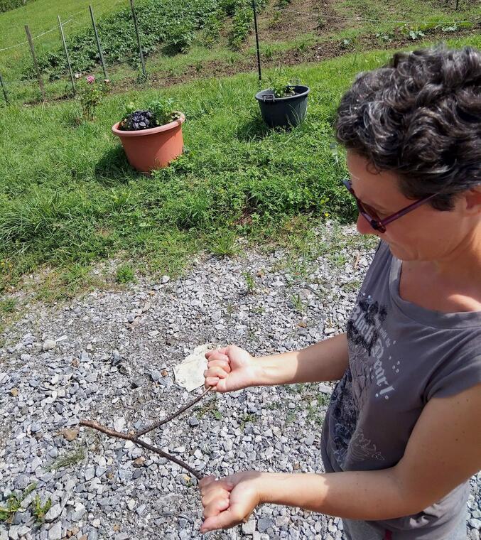 LES APPRENTIS SOURCIERS