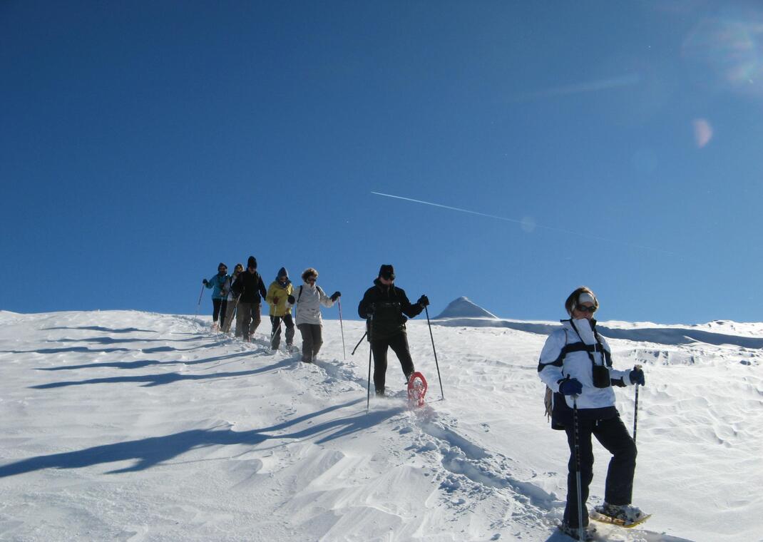 Sortie raquettes à neige