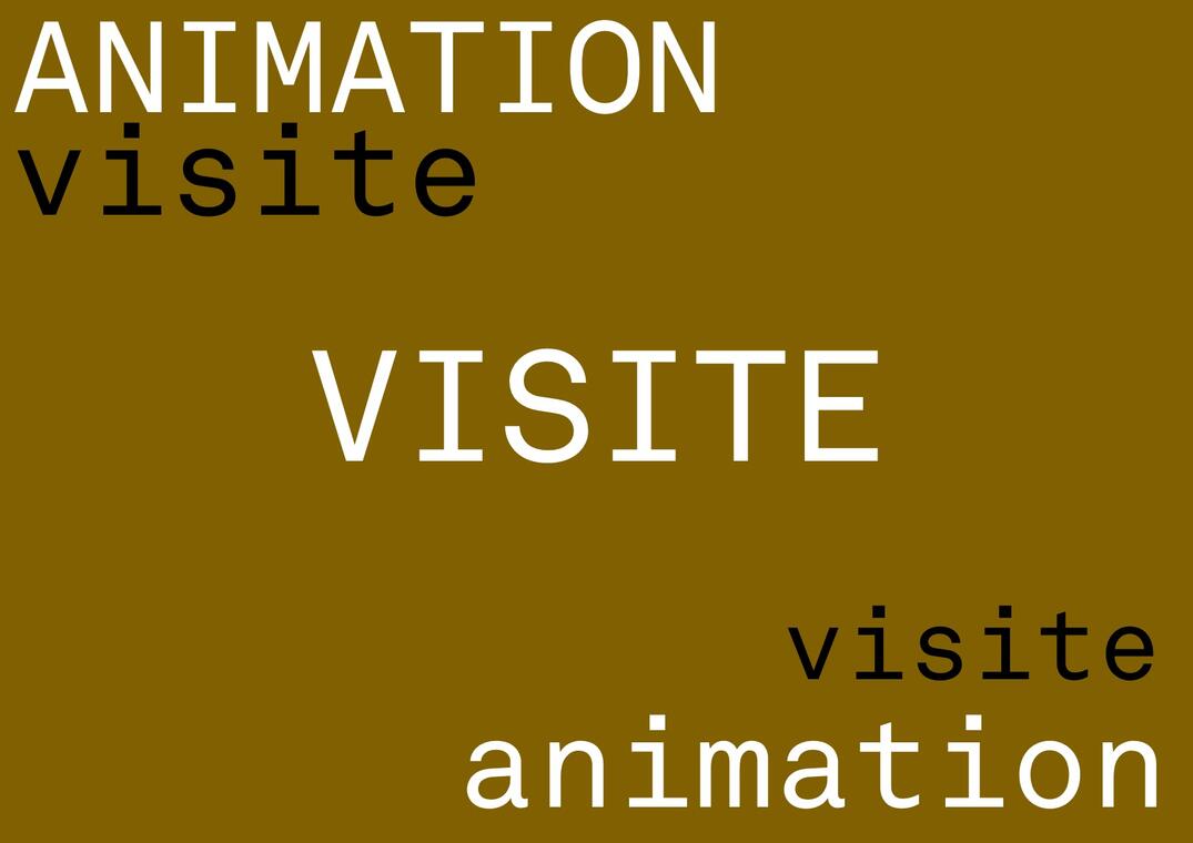 Visuel visite