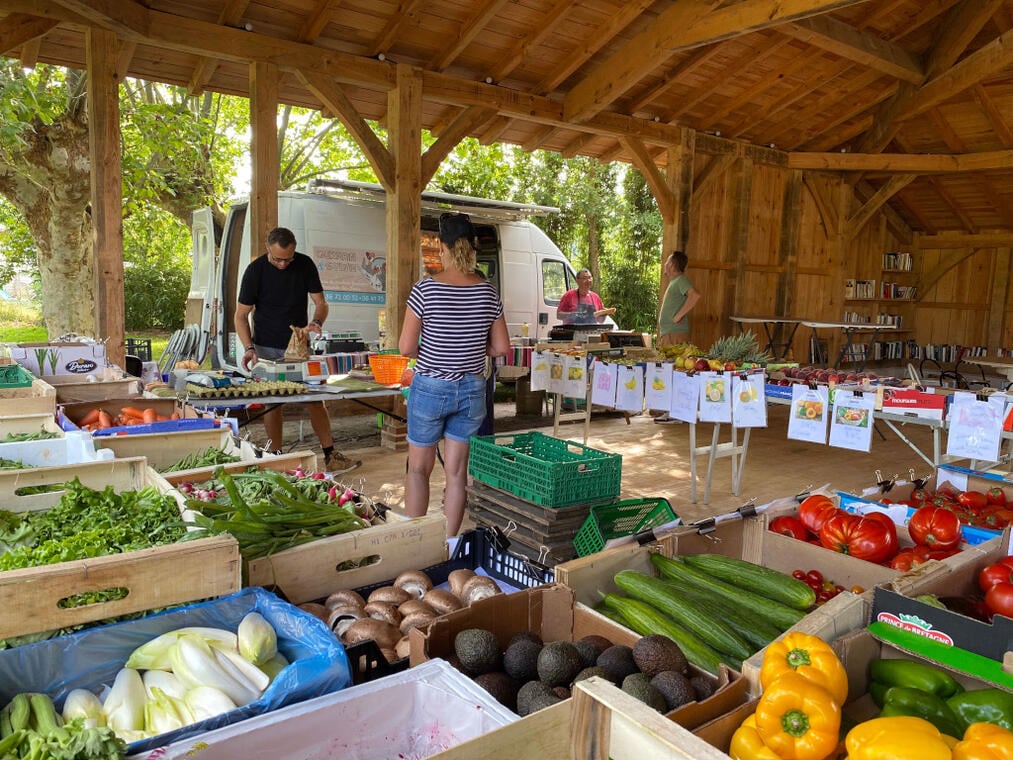 ©CLNT-SAINT MICHEL ESCALUS-Marché (4)TS