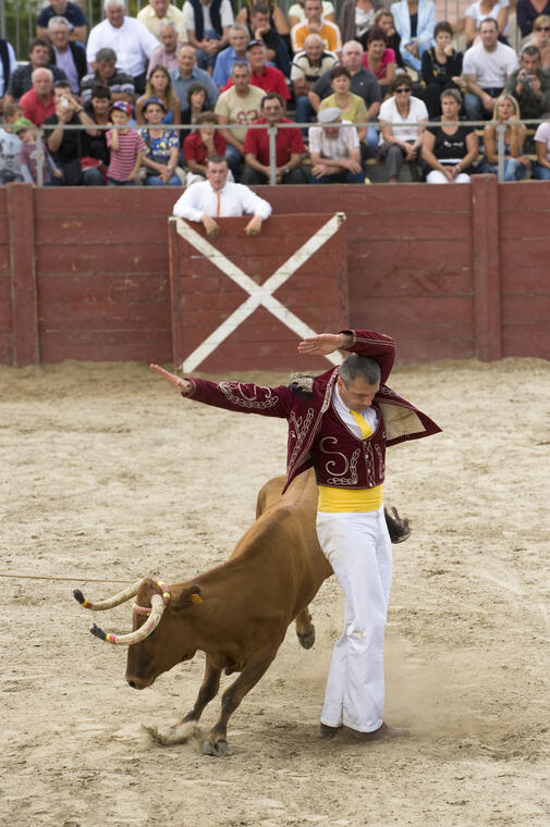 2010_AUR_Ecart 018©Anne Lanta
