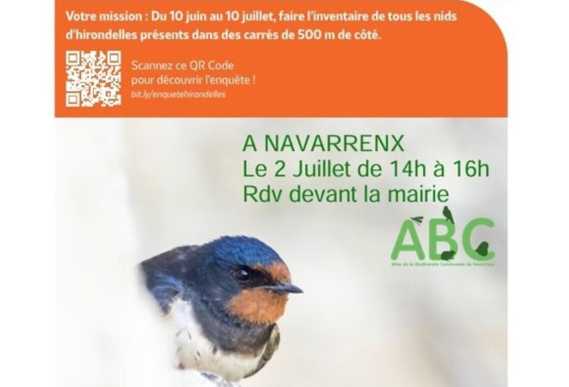 2025-06_ABC_Enquete_hirondelle2