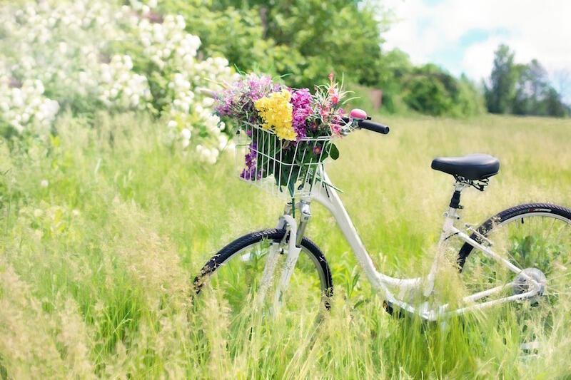 Vélo - photo non contractuelle