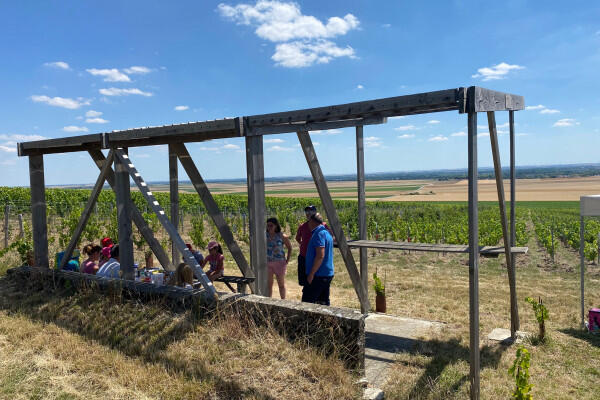 balade-et-dgustation-au-cur-du-vignoble-champenois-33f30