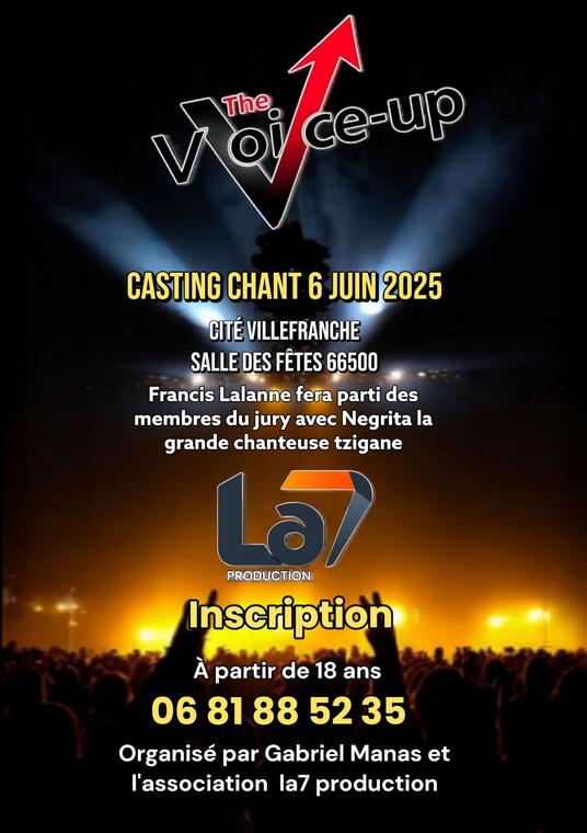 Animations VDC casting the voice