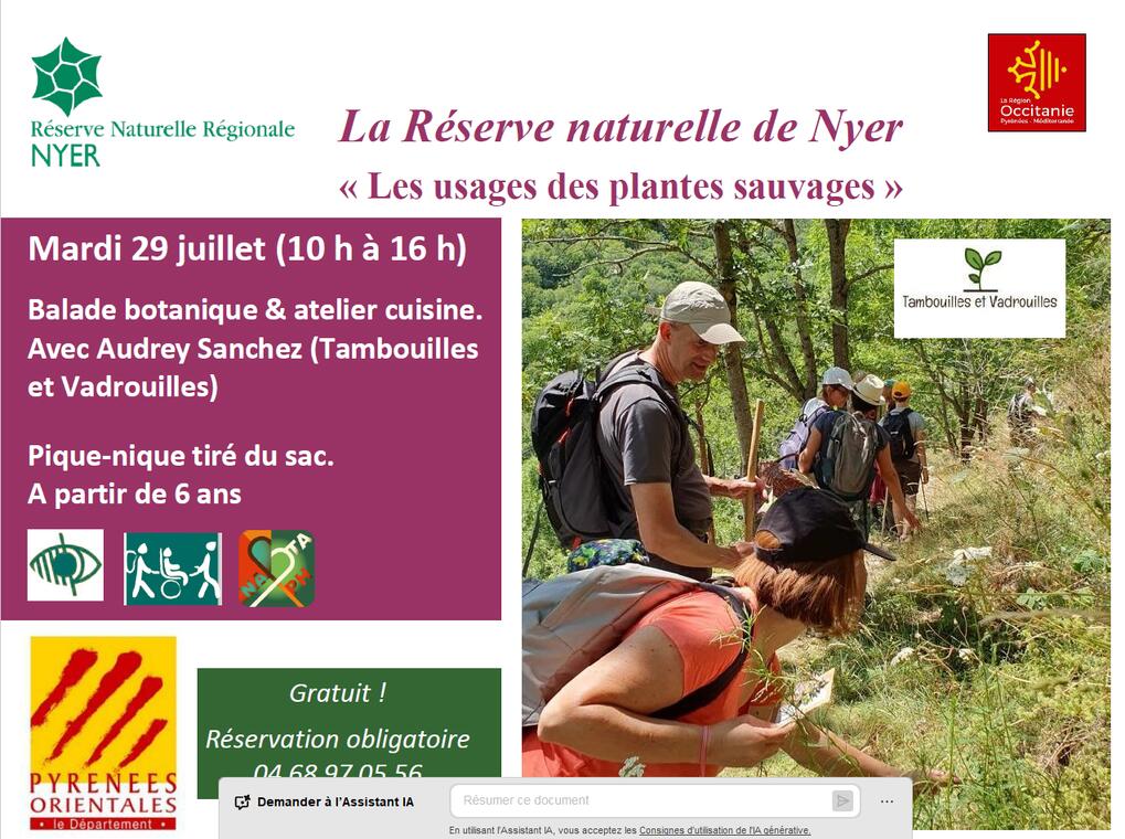 festival nature