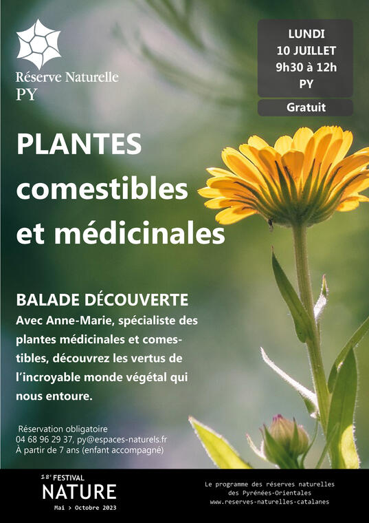 PY-10-07-plantes
