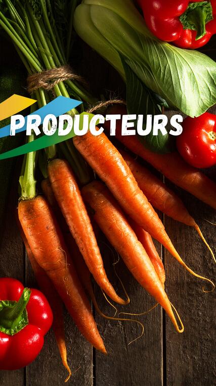 Producteurs  (1)