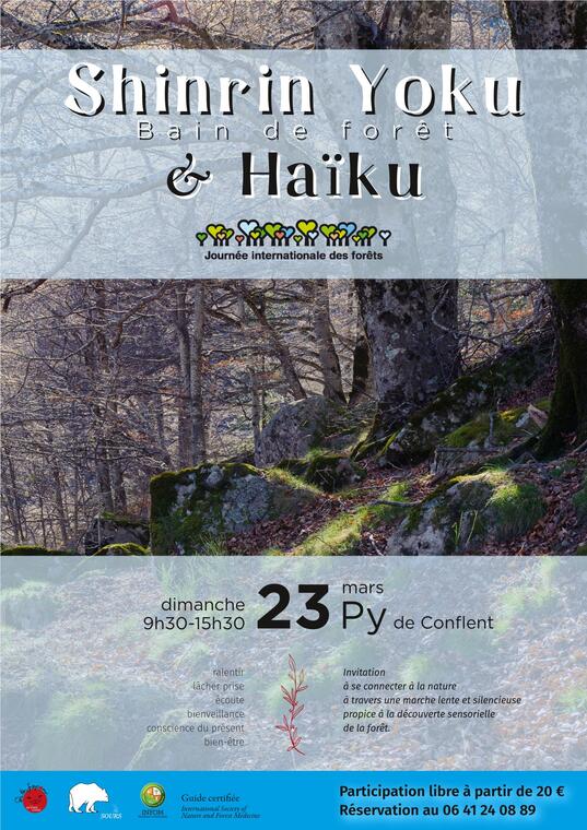 Shinrin yoku Py 23 mars