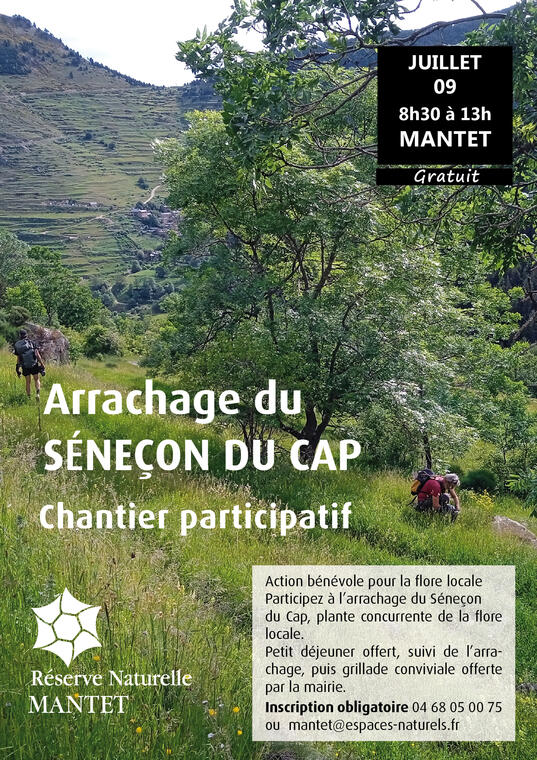 senecon-du-cap