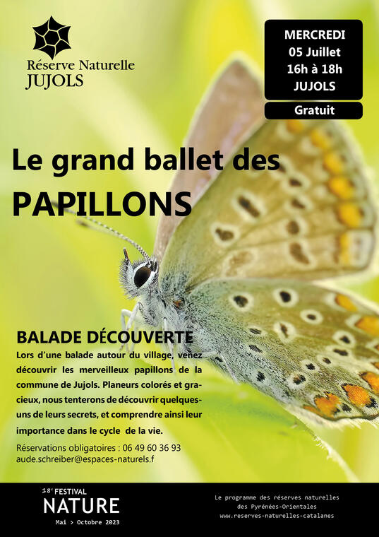 05-07-PAPILLON-JUJOLS