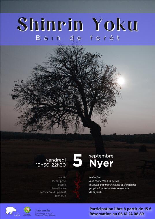 250905_affiche-bain-de-foret_Nyer_nocturne_web2