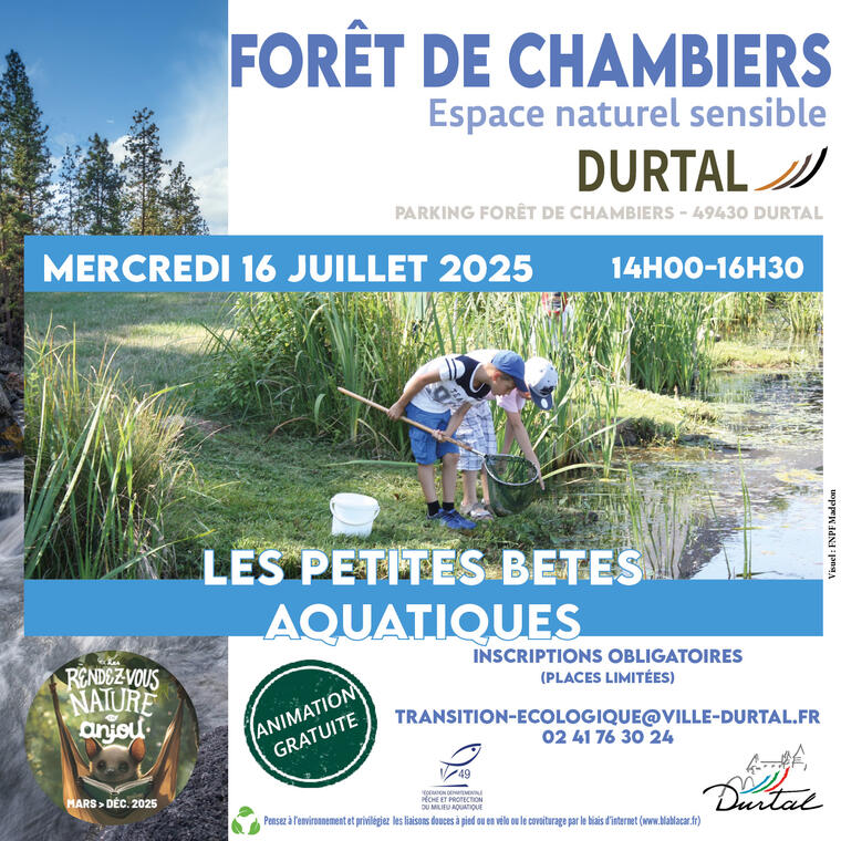 Les petites bêtes aquatiques Durtal 160725