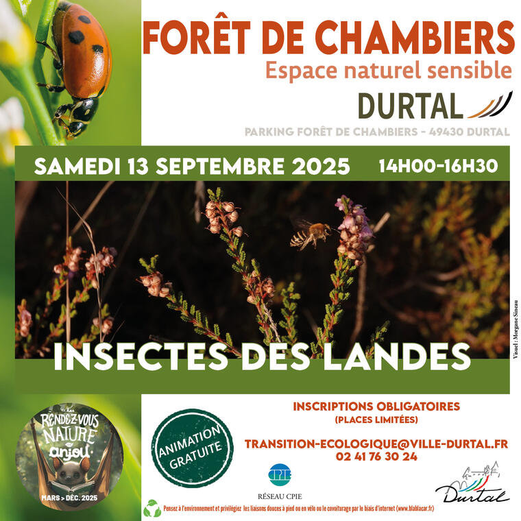 Affiche-Carre-Insectes-des-landes