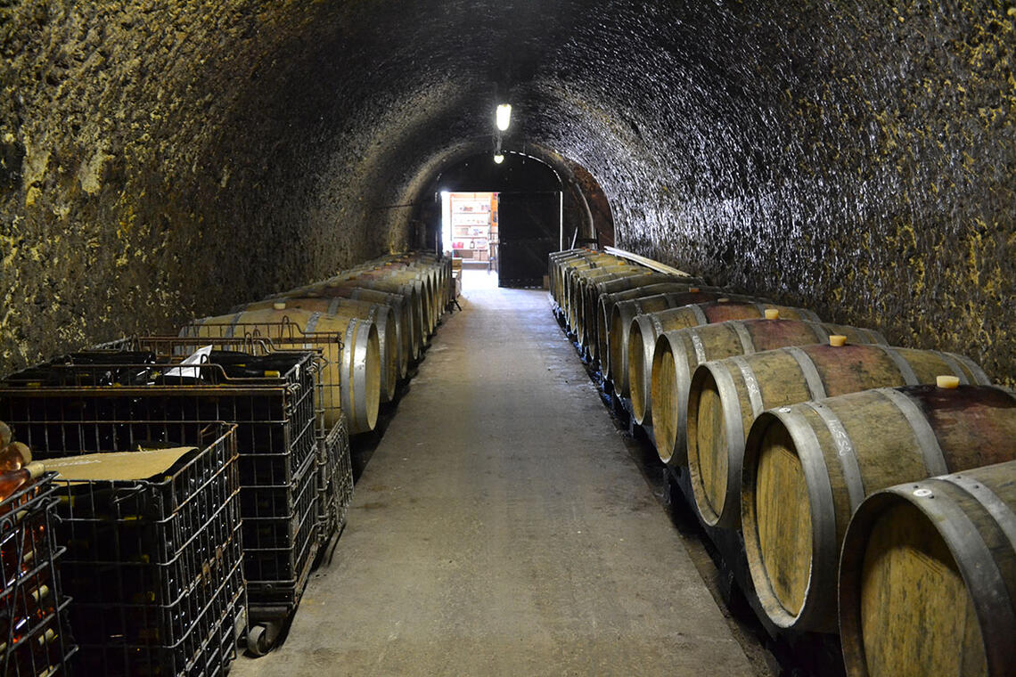 Domaine de Cézin_Marçon_juil14 (31)-bd