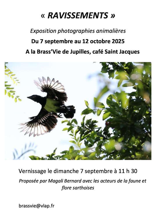 Exposition-Brass_Vie-2025_mb_affiche