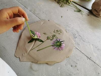 Herbier en argile_25