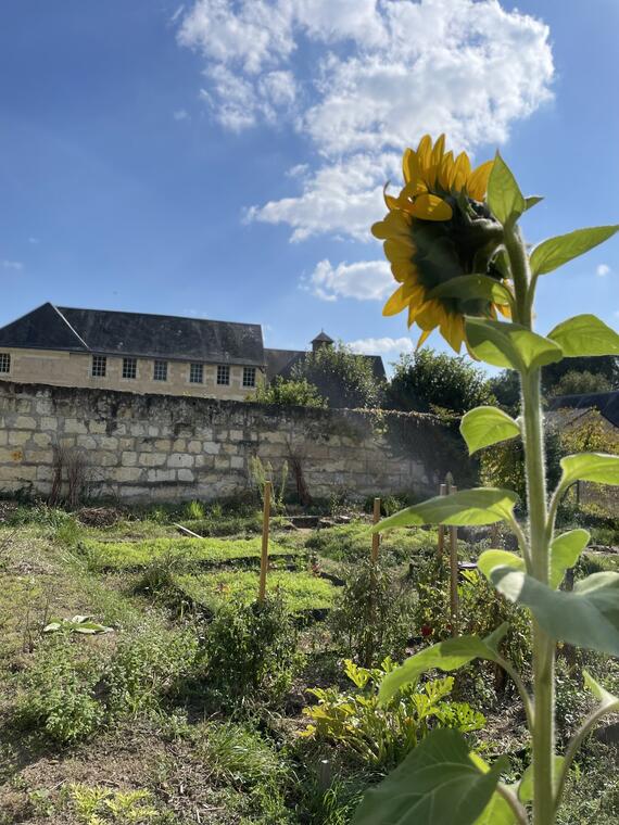 Jardin des Chiffonnières