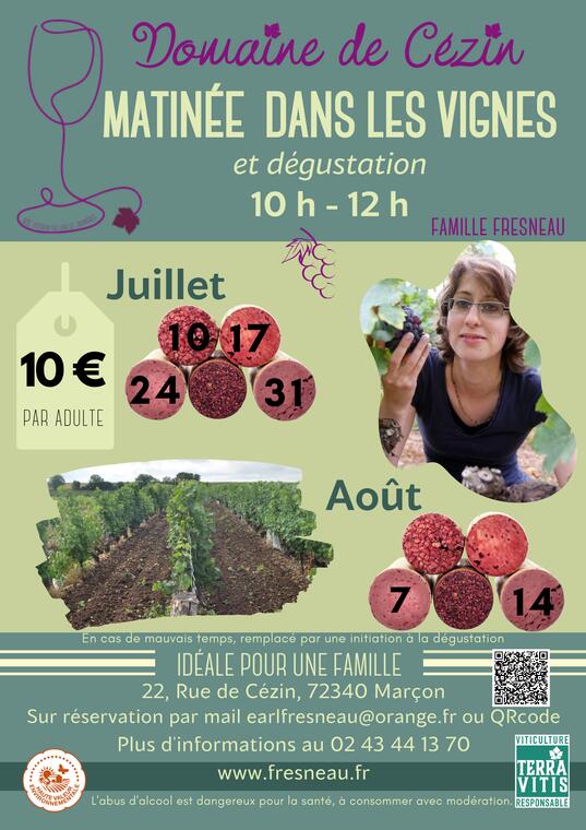 MATINEE DANS LES VIGNES