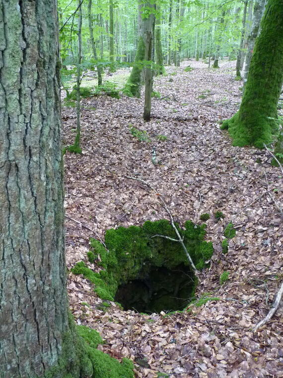 crédit E.Ehmig juillet 2011 carnet de forêt vestiges de l'histoire PUITS DE CARRIERE (2)