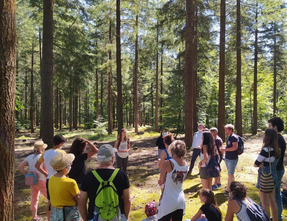 sortie foret (6)