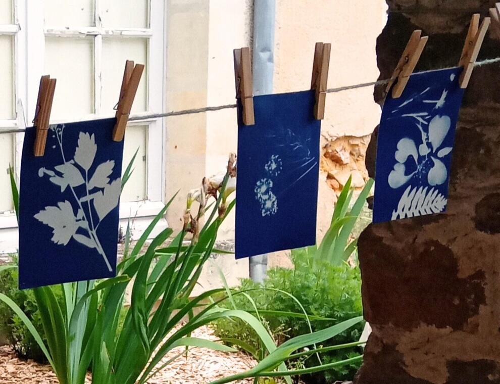 Cyanotype - _1