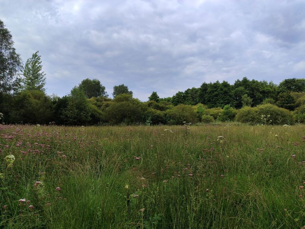 vallée des Cartes secrète