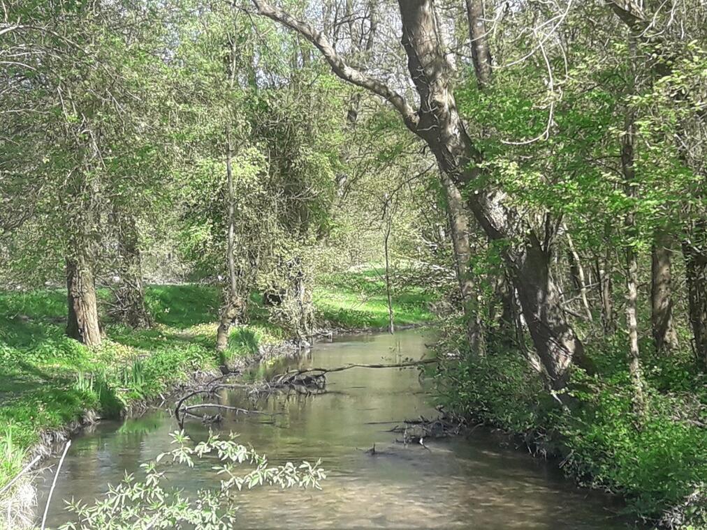7 avril vallée du couasnon